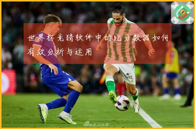 世界杯竞猜软件中的比分数据如何有效分析与运用