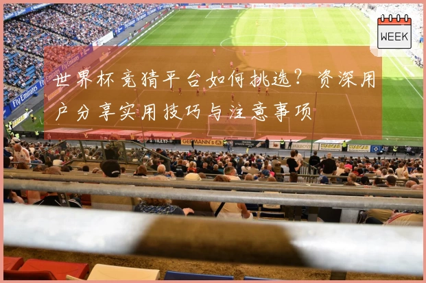 世界杯竞猜平台如何挑选？资深用户分享实用技巧与注意事项