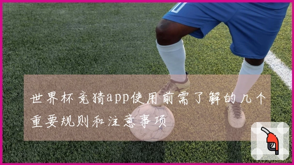 世界杯竞猜app使用前需了解的几个重要规则和注意事项